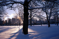 Click image for larger version

Name:	winter_nature.jpg
Views:	91
Size:	2.76 MB
ID:	1006940