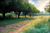 Click image for larger version

Name:	Road to Heaven.jpg
Views:	48
Size:	517.9 KB
ID:	1105348