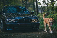 Click image for larger version

Name:	e39 m5 black (3).jpg
Views:	40
Size:	1.67 MB
ID:	2901892