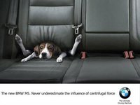 Click image for larger version

Name:	bmw_m5_funny_dog_ad.jpg
Views:	109
Size:	18.4 KB
ID:	1337915