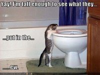 Click image for larger version

Name:	funny-pictures-cat-sees-inside-of-toilet.jpg
Views:	81
Size:	36.0 KB
ID:	991425