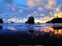 Click image for larger version

Name:	National Geographic Wallpapers 053.jpg
Views:	38
Size:	162.6 KB
ID:	1068447