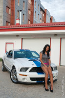 Click image for larger version

Name:	Shelby GT500 & Roxana Ionescu www.AmericanMuscleCars.Ro (21).jpg
Views:	72
Size:	389.8 KB
ID:	1665782