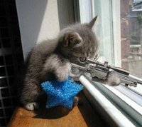 Click image for larger version

Name:	hardcore_pussy_..sniper_cat_153.jpg
Views:	64
Size:	12.9 KB
ID:	24532