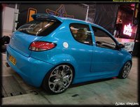 Click image for larger version

Name:	pics-max-15867-328078-peugeot-206.jpg
Views:	333
Size:	75.2 KB
ID:	706861