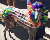 Click image for larger version

Name:	rainbow-condom-dog.JPG
Views:	62
Size:	242.9 KB
ID:	1070432