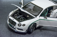 Click image for larger version

Name:	bentley_gt3r-2.JPG
Views:	18
Size:	1.75 MB
ID:	3207572