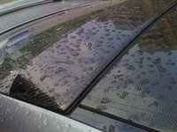 Click image for larger version

Name:	IMG_0480.jpg
Views:	181
Size:	422.9 KB
ID:	1547501