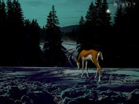 Click image for larger version

Name:	nightwinter.jpg
Views:	83
Size:	107.1 KB
ID:	419610