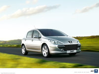 Click image for larger version

Name:	Peugeot 307-03.jpg
Views:	28
Size:	728.4 KB
ID:	1633639