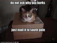 Click image for larger version

Name:	funny-pictures-cat-wants-you-to-mail-dog-to-south-pole.jpg
Views:	95
Size:	22.4 KB
ID:	980251
