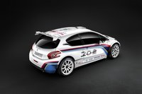 Click image for larger version

Name:	peugeot-pikes-peak-2013-3.jpg
Views:	73
Size:	63.3 KB
ID:	2746265