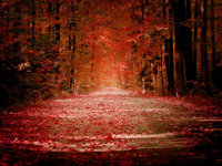 Click image for larger version

Name:	Autumn_by_sican.jpg
Views:	108
Size:	389.3 KB
ID:	645998