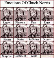 Click image for larger version

Name:	chuck norris 1.jpg
Views:	113
Size:	60.9 KB
ID:	2318876
