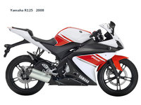 Click image for larger version

Name:	Yamaha-R125-2008.jpg
Views:	209
Size:	245.9 KB
ID:	742547