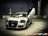 Click image for larger version

Name:	AudiTT5.jpg
Views:	559
Size:	559.0 KB
ID:	814385