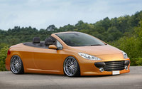 Click image for larger version

Name:	peugeot 307cc 3.jpg
Views:	41
Size:	708.5 KB
ID:	1635363