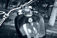Click image for larger version

Name:	DSC_mica.jpg
Views:	165
Size:	479.6 KB
ID:	3052736