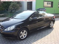 Click image for larger version

Name:	Peugeot-307-cc-feline[2].jpg
Views:	49
Size:	54.4 KB
ID:	1590571