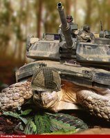 Click image for larger version

Name:	Turtle-Tank-38474.jpg
Views:	112
Size:	257.0 KB
ID:	1240320