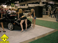 Click image for larger version

Name:	zgirls___cars_copy_254.jpg
Views:	722
Size:	398.8 KB
ID:	44964