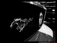 Click image for larger version

Name:	Mustang8.jpg
Views:	87
Size:	90.0 KB
ID:	253514