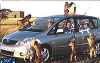 Click image for larger version

Name:	howdotheywashcarsinafrica.jpg
Views:	182
Size:	37.3 KB
ID:	5950