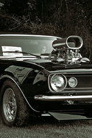 Click image for larger version

Name:	american_muscle.jpg
Views:	123
Size:	176.9 KB
ID:	1888899