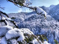 Click image for larger version

Name:	snow_hdr_by_Carnacior.jpg
Views:	67
Size:	357.2 KB
ID:	1076586