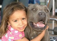 Click image for larger version

Name:	young girl and her pitbull.jpg
Views:	62
Size:	23.8 KB
ID:	1246376