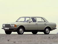 Click image for larger version

Name:	Mercedes_Benz-E_Class_W123_mp35_pic_76624.jpg
Views:	59
Size:	301.2 KB
ID:	2837521