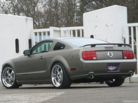 Click image for larger version

Name:	Mustang spate.jpg
Views:	44
Size:	374.7 KB
ID:	1258546
