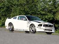 Click image for larger version

Name:	m5lp_0801_01_z+498hp_mustang_gt+exterior_view_front_three_quarters.jpg
Views:	34
Size:	72.8 KB
ID:	969642