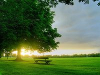 Click image for larger version

Name:	green-grass-and-big-tree-278-4.jpg
Views:	92
Size:	247.6 KB
ID:	975272