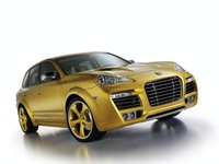 Click image for larger version

Name:	techart-magnum-cayenne-turbo-facelift-2009-7.jpg
Views:	37
Size:	184.8 KB
ID:	1748777