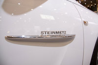 Click image for larger version

Name:	steinmetz-insignia-01.jpg
Views:	524
Size:	65.1 KB
ID:	714588
