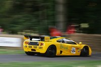 Click image for larger version

Name:	goodwood09_timbrown014.jpg
Views:	74
Size:	101.8 KB
ID:	999378