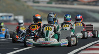 Click image for larger version

Name:	Robert-Visoiu-KF3.jpg
Views:	136
Size:	85.7 KB
ID:	1675234