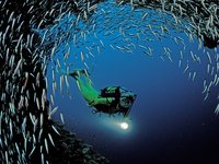 Click image for larger version

Name:	Scuba Diving Near Ari Atoll, Indian Ocean.jpg
Views:	39
Size:	485.3 KB
ID:	1058265