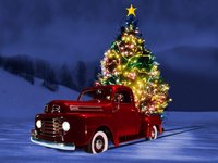 Click image for larger version

Name:	christmas-tree-in-car.jpg
Views:	18
Size:	258.5 KB
ID:	3174731