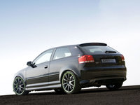 Click image for larger version

Name:	audi_s3_sportec1.jpg
Views:	145
Size:	88.1 KB
ID:	546808
