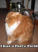 Click image for larger version

Name:	lol-cats.jpg
Views:	123
Size:	52.9 KB
ID:	1799415