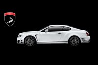 Click image for larger version

Name:	Bentley_Continental_GT_Bullet_11.jpg
Views:	933
Size:	68.2 KB
ID:	1104595