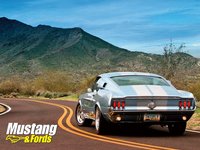 Click image for larger version

Name:	mufp_0710_1967_ford_mustang_fastback_rear_1024x768.jpg
Views:	62
Size:	89.0 KB
ID:	1770426