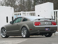 Click image for larger version

Name:	Mustang spate.jpg
Views:	55
Size:	374.7 KB
ID:	1360972