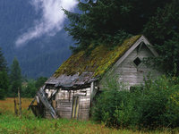 Click image for larger version

Name:	Shed in Field.jpg
Views:	138
Size:	172.3 KB
ID:	646337