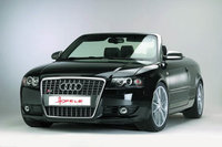 Click image for larger version

Name:	Audi_A4_Cabrio_S8_Frontgrill.jpg
Views:	269
Size:	36.7 KB
ID:	450220