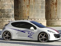 Click image for larger version

Name:	2006_Peugeot_207_RCup_Concept_t1grul.JPG
Views:	35
Size:	621.8 KB
ID:	141849