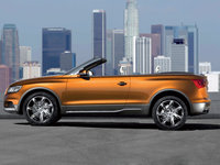 Click image for larger version

Name:	audi-cross-cabriolet-quattro-05.jpg
Views:	177
Size:	129.2 KB
ID:	390356