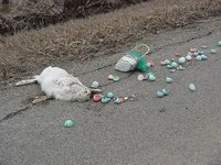 Click image for larger version

Name:	Easter_is_cancelled.jpg
Views:	522
Size:	157.0 KB
ID:	1977320